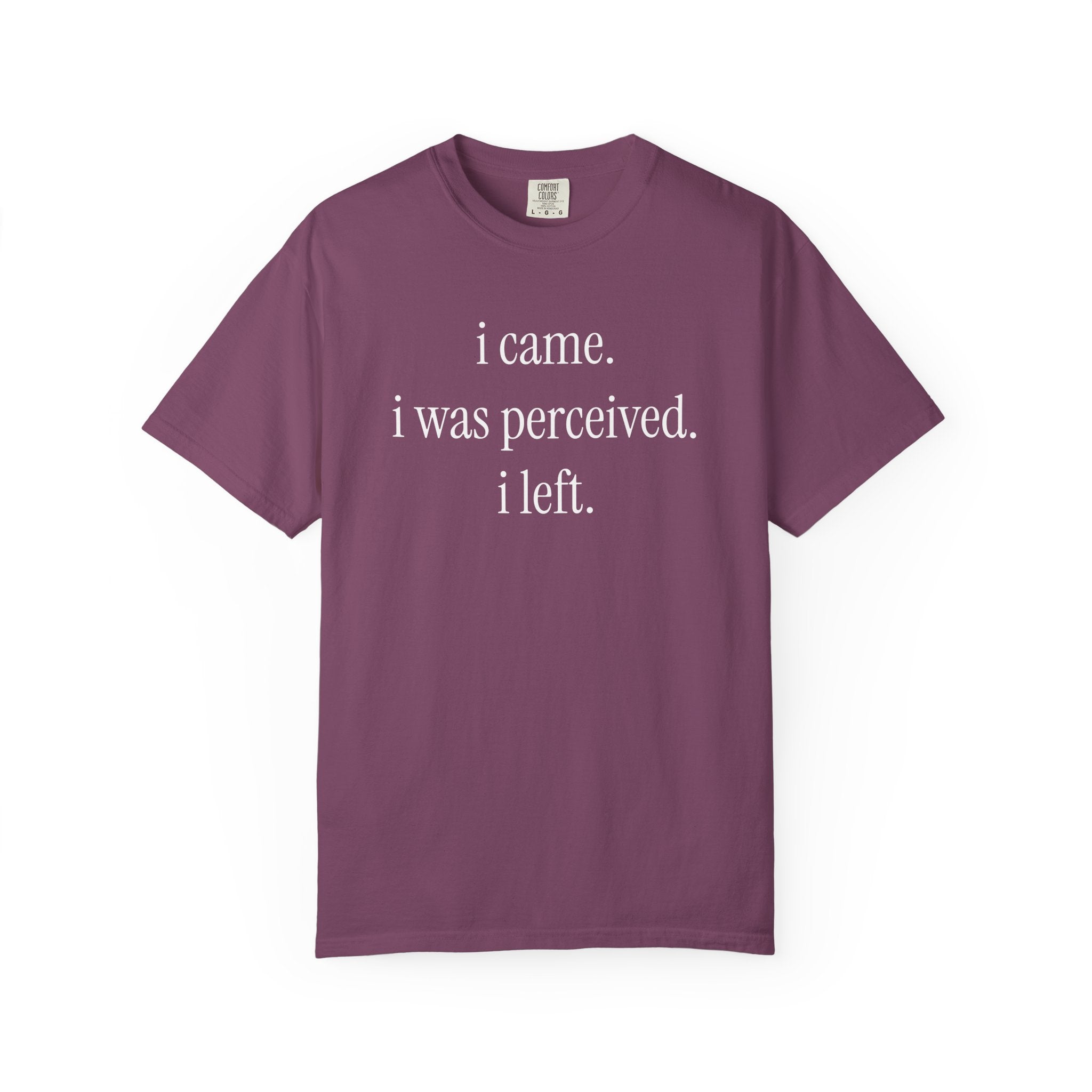 I Came I Was Perceived I Left T-Shirt