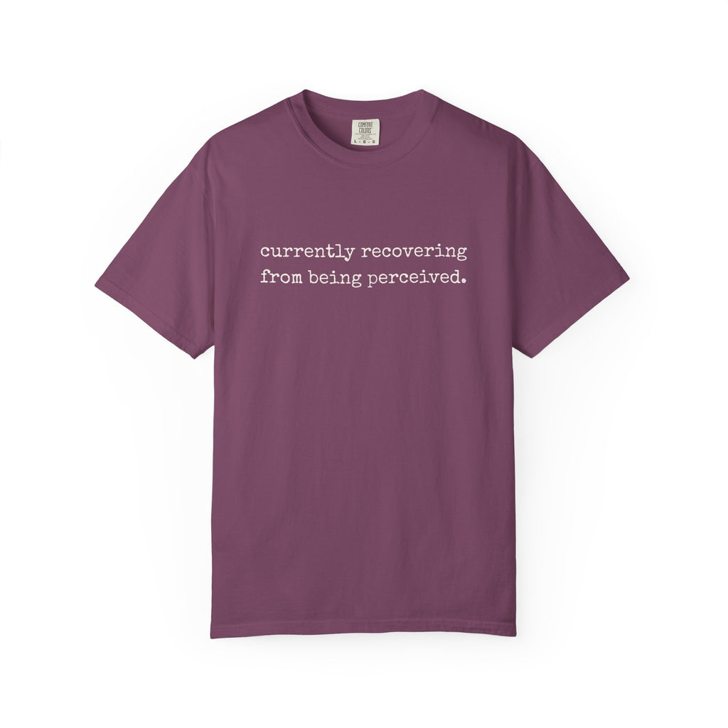 Currently Recovering From Being Perceived T-Shirt