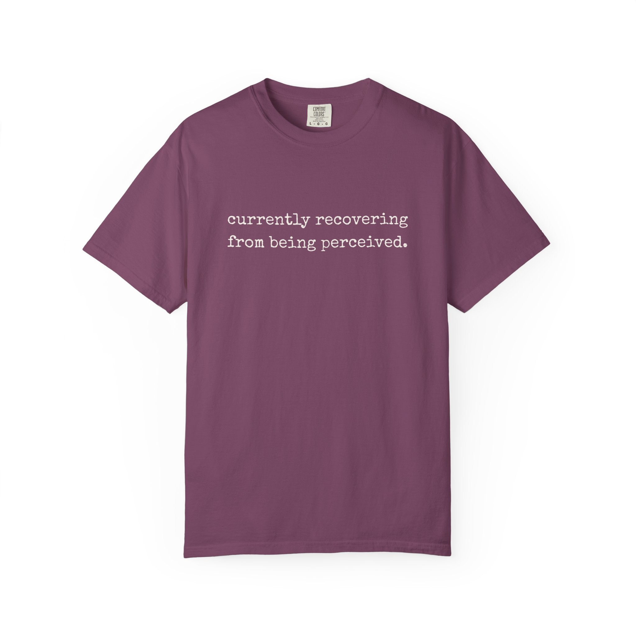 Currently Recovering From Being Perceived T-Shirt