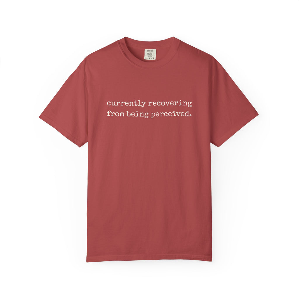 Currently Recovering From Being Perceived T-Shirt