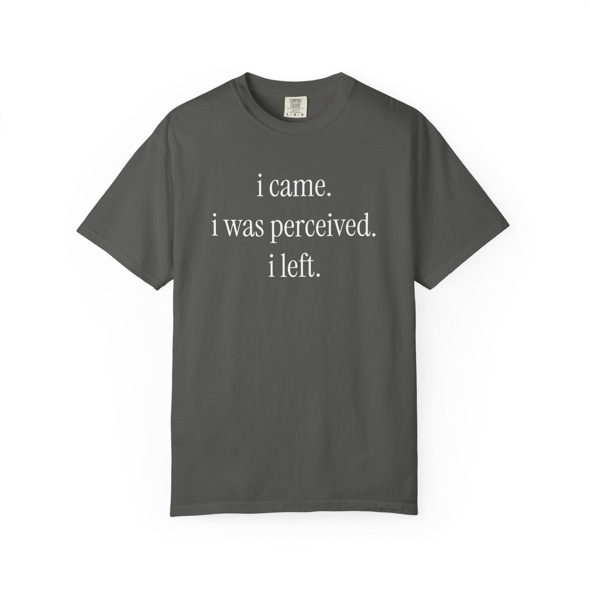 I Came I Was Perceived I Left T-Shirt