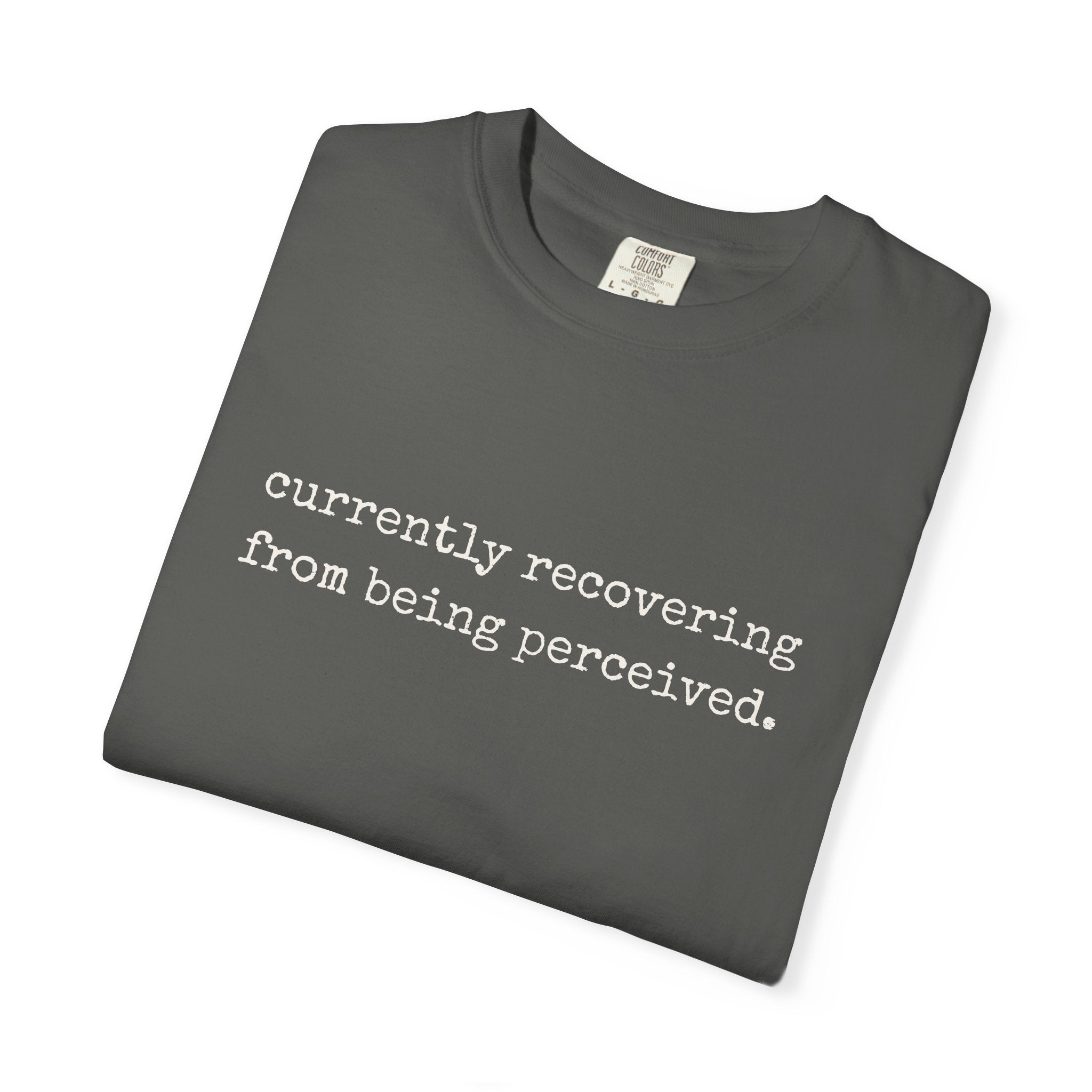 Currently Recovering From Being Perceived T-Shirt